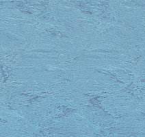 Линолеум Polyflor Standart XL 9170 фото 1 | FLOORDEALER