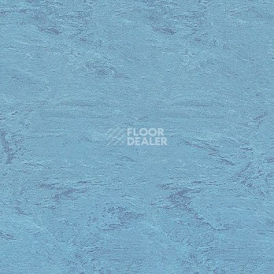 Линолеум Polyflor Standart XL 9170 фото 1 | FLOORDEALER