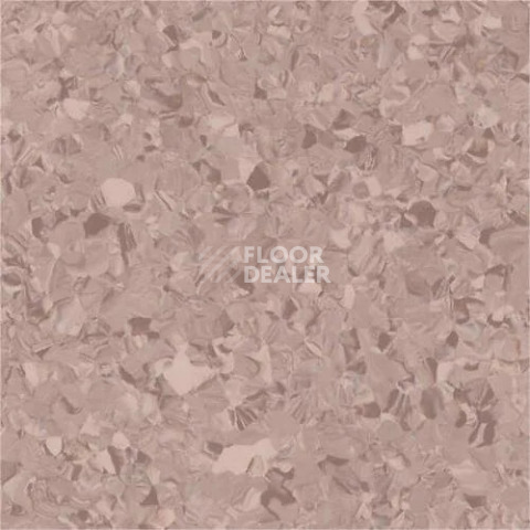 Линолеум Vertigo Victoria Plus V10013 Milk Chocolate фото 1 | FLOORDEALER