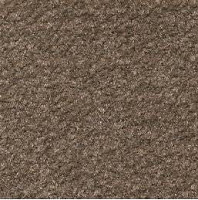 Emphatic Beaulieu of America 56726 фото 1 | FLOORDEALER