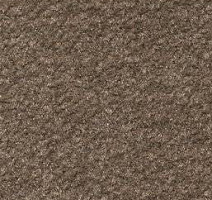 Ковролин Emphatic Beaulieu of America 56726 фото 1 | FLOORDEALER