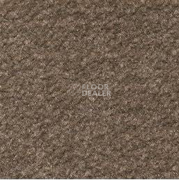Ковролин Emphatic Beaulieu of America 56726 фото 1 | FLOORDEALER