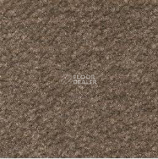 Ковролин Emphatic Beaulieu of America 56726 фото 1 | FLOORDEALER