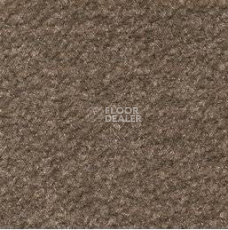 Ковролин Emphatic Beaulieu of America 56726 фото 1 | FLOORDEALER