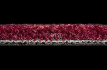 Balsan Bolero 590 фото 3 | FLOORDEALER