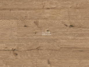 Classen Arteo 8XL WR 55085 Adler Oak /8XL фото 1 | FLOORDEALER