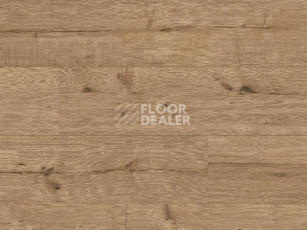 Ламинат Classen Arteo 8XL WR 55085 Adler Oak /8XL фото 1 | FLOORDEALER