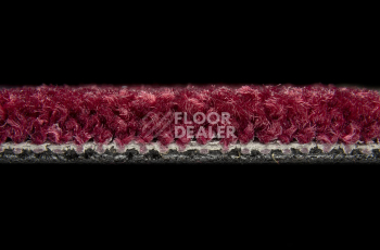 Balsan Bolero 590 фото 3 | FLOORDEALER