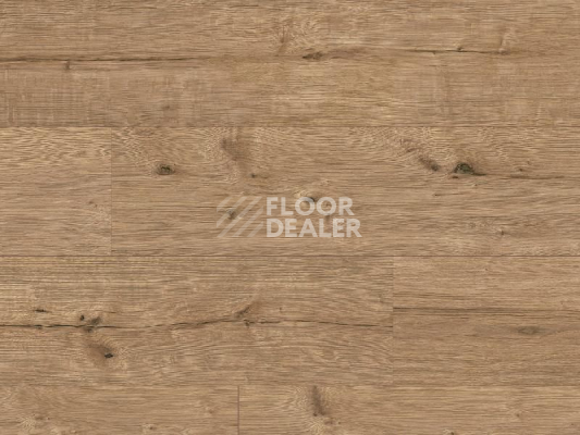 Ламинат Classen Arteo 8XL WR 55085 Adler Oak /8XL фото 1 | FLOORDEALER
