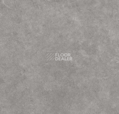 Линолеум Forbo SureStep Stone 17132 фото 1 | FLOORDEALER