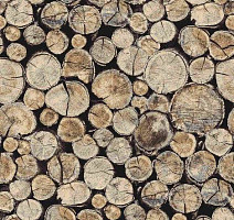 Ковролин Halbmond Pure Elements 13801 фото 1 | FLOORDEALER