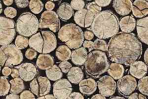 Ковролин Halbmond Pure Elements 13801 фото  | FLOORDEALER