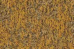 Ковровая плитка Desso Granite 6112 фото  | FLOORDEALER