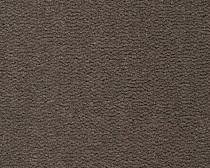 Ковролин Best Wool Pure Tasman 169 фото 1 | FLOORDEALER