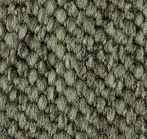 Ковролин Carpet Concept Eco Cut 54575 фото 1 | FLOORDEALER