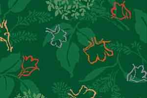 Ковролин Halbmond Classic Selection 42309 a 03 фото  | FLOORDEALER