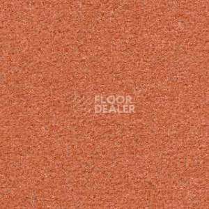 Ковролин Radici Montecarlo 57 фото 1 | FLOORDEALER