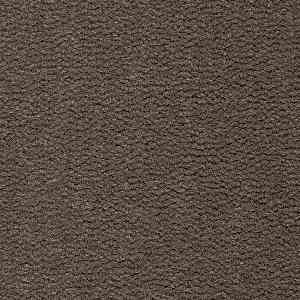 Ковролин Best Wool Pure Tasman 169 фото ##numphoto## | FLOORDEALER