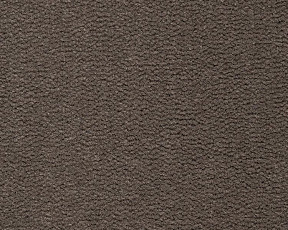 Ковролин Best Wool Pure Tasman 169 фото 1 | FLOORDEALER
