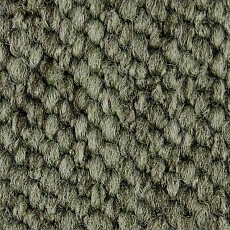 Ковролин Carpet Concept Eco Cut 54575 фото 1 | FLOORDEALER