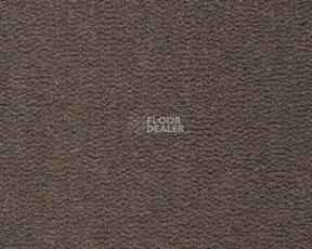 Ковролин Best Wool Pure Tasman 169 фото 1 | FLOORDEALER