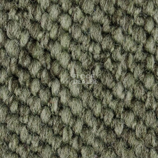 Ковролин Carpet Concept Eco Cut 54575 фото 1 | FLOORDEALER