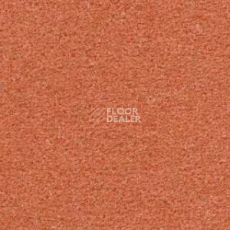 Ковролин Radici Montecarlo 57 фото 1 | FLOORDEALER