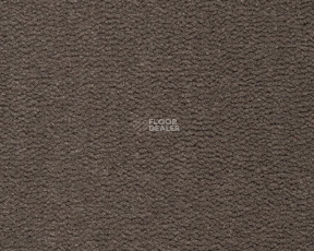 Best Wool Pure Tasman 169 фото 1 | FLOORDEALER