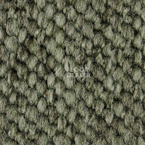 Ковролин Carpet Concept Eco Cut 54575 фото 1 | FLOORDEALER