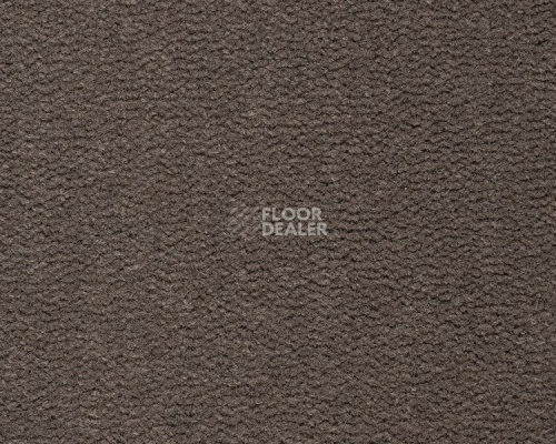 Ковролин Best Wool Pure Tasman 169 фото 1 | FLOORDEALER