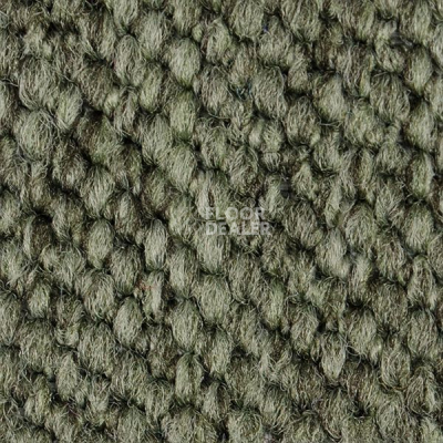 Ковролин Carpet Concept Eco Cut 54575 фото 1 | FLOORDEALER