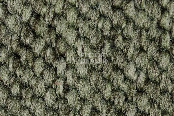 Ковролин Carpet Concept Eco Cut 54575 фото 1 | FLOORDEALER