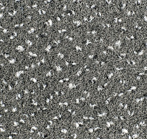 AW Magma 97 фото 3 | FLOORDEALER