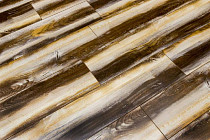 Ламинат Bohofloor Design Collection dc1210 Contemporary фото 1 | FLOORDEALER