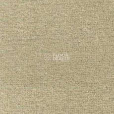 Ковролин Radici Maratea 3683 фото 1 | FLOORDEALER