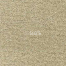 Ковролин Radici Maratea 3683 фото 1 | FLOORDEALER