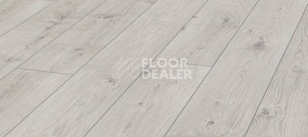 Ламинат Kronotex Mammut d3179 Дуб Эверест Белый фото 1 | FLOORDEALER