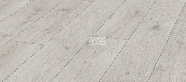 Ламинат Kronotex Mammut d3179 Дуб Эверест Белый фото 1 | FLOORDEALER