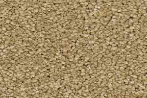 Ковролин Balsan Idylle 630 фото  | FLOORDEALER