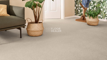 Vorwerk Superior 1071 Vorwerk 5y37 фото 2 | FLOORDEALER