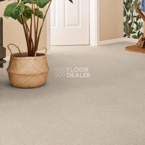 Vorwerk Superior 1071 Vorwerk 5y37 фото 2 | FLOORDEALER
