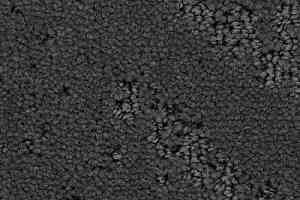 Ковролин Balsan Icone 960 фото  | FLOORDEALER