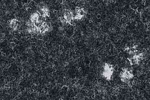 Ковролин Finett Accent 8850 фото  | FLOORDEALER