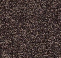 Ковролин Balsan First Class 780 фото 1 | FLOORDEALER