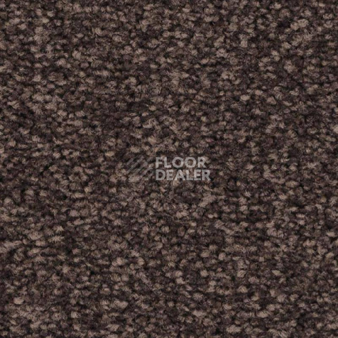 Ковролин Balsan First Class 780 фото 1 | FLOORDEALER
