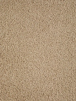 Ковролин Haima Noble 41 фото 1 | FLOORDEALER