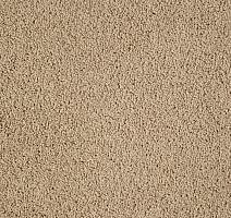 Ковролин Haima Noble 41 фото 1 | FLOORDEALER