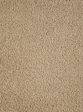 Ковролин Haima Noble 41 фото 1 | FLOORDEALER