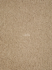 Haima Noble 41 фото 1 | FLOORDEALER