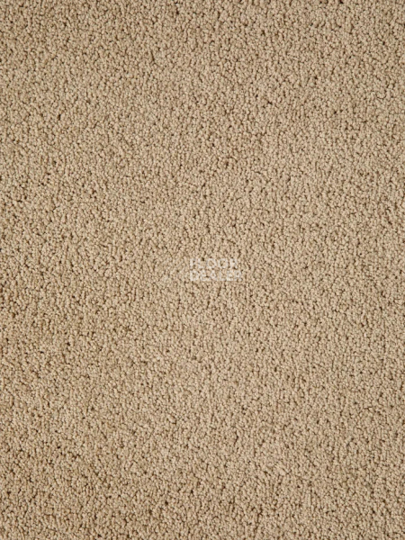 Ковролин Haima Noble 41 фото 1 | FLOORDEALER